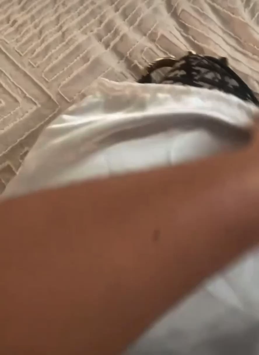 Affordable Luxury Plug : Verified Vendor Contacts